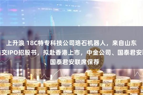 上升浪 18C特专科技公司珞石机器人，来自山东济宁，递交IPO招股书，拟赴香港上市，中金公司、国泰君安联席保荐