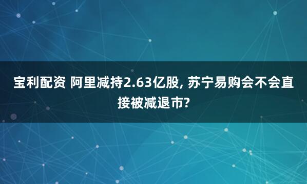 宝利配资 阿里减持2.63亿股, 苏宁易购会不会直接被减退市?