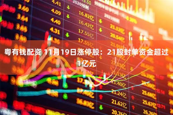 粤有钱配资 11月19日涨停股：21股封单资金超过1亿元