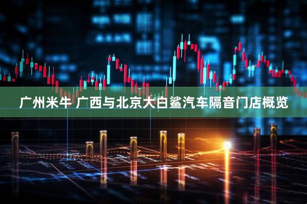 广州米牛 广西与北京大白鲨汽车隔音门店概览