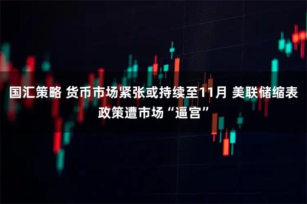 国汇策略 货币市场紧张或持续至11月 美联储缩表政策遭市场“逼宫”