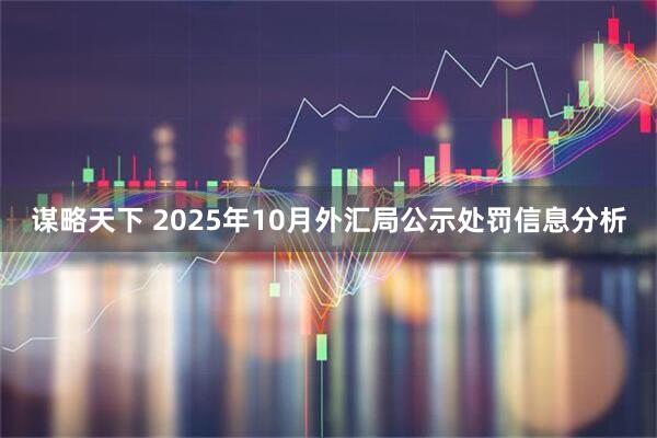 谋略天下 2025年10月外汇局公示处罚信息分析